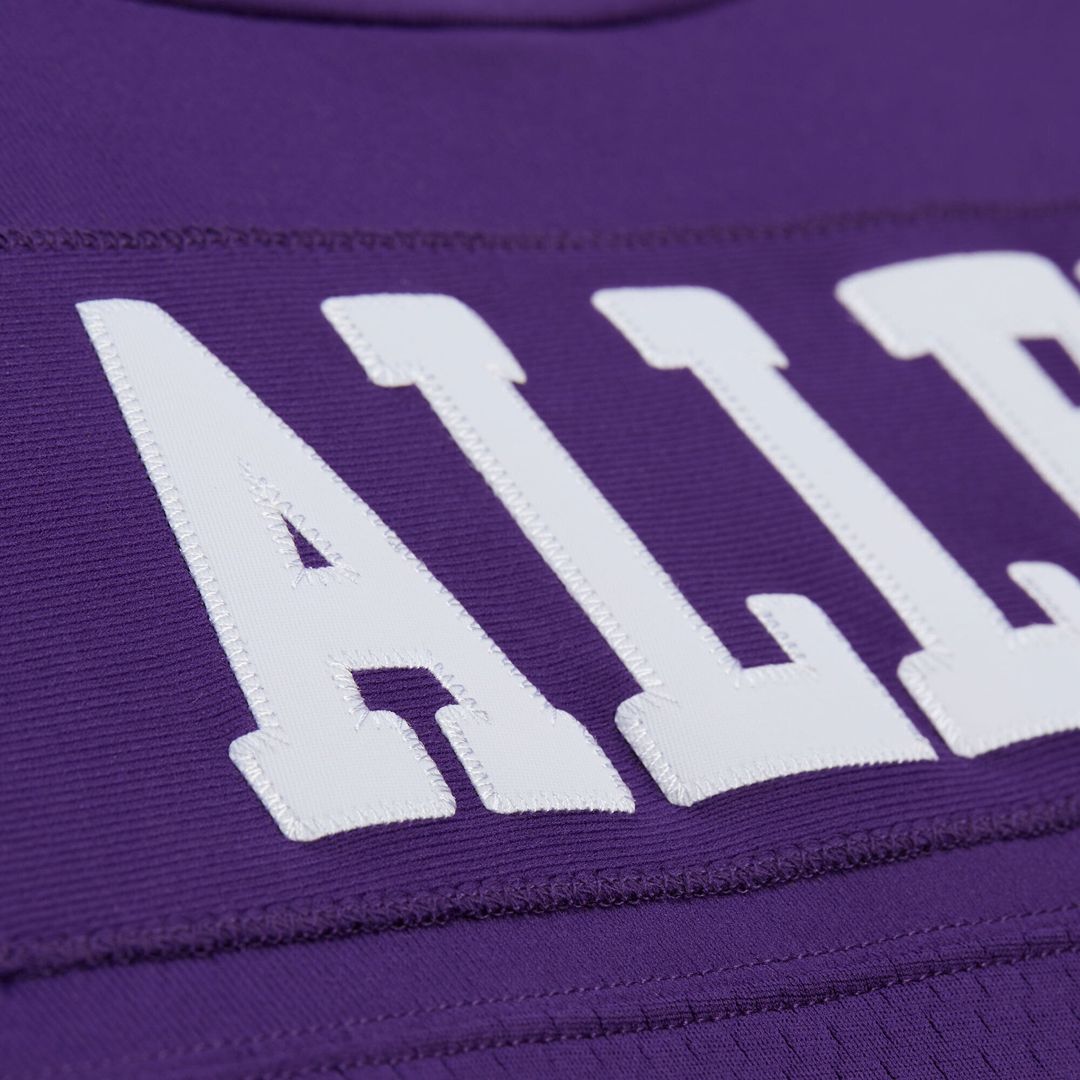 Men's Minnesota Vikings Jared Allen Purple 2011 Legacy Replica NFL Football Jersey - view 8